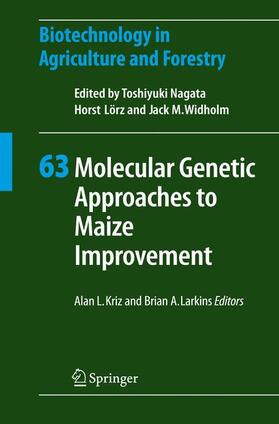 Molecular Genetic Approaches to Maize Improvement