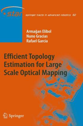 Efficient Topology Estimation for Large Scale Optical Mapping