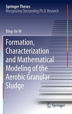 Formation, characterization and mathematical modeling of the aerobic granular sludge