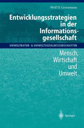 Entwicklungsstrategien in der Informationsgesellschaft