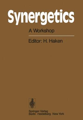 Synergetics