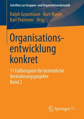 Organisationsentwicklung konkret