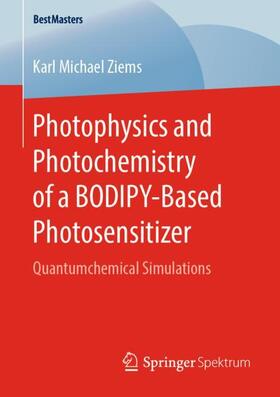 Photophysics and Photochemistry of a BODIPY¿Based Photosensitizer