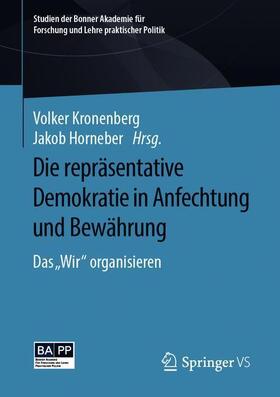 Die repräsentative Demokratie in Anfechtung und Bewährung