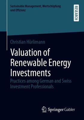 Valuation of Renewable Energy Investments