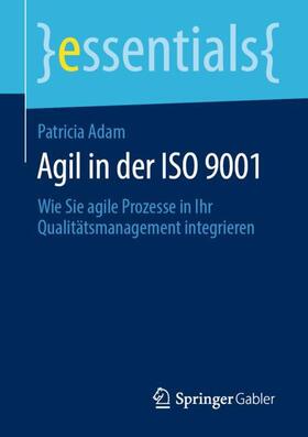 Agil in der ISO 9001