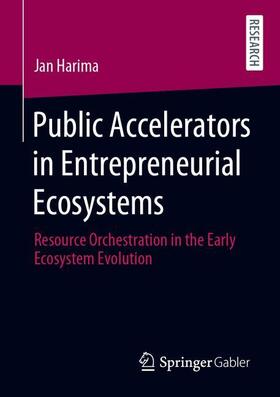 Public Accelerators in Entrepreneurial Ecosystems