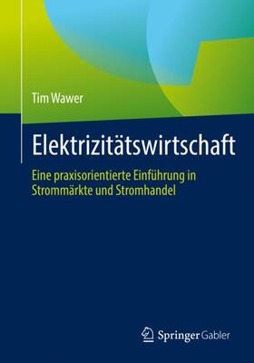 Elektrizitätswirtschaft