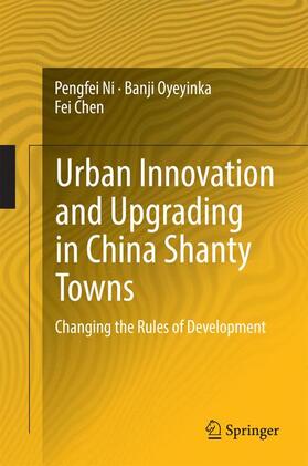 Urban Innovation and Upgrading in China Shanty Towns