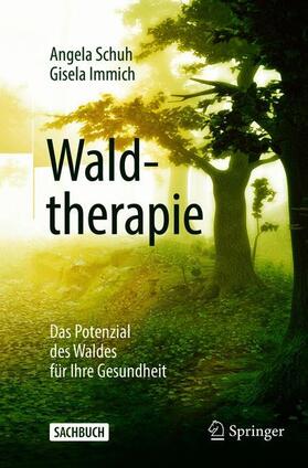 Waldtherapie - das Potential des Waldes für Ihre Gesundheit