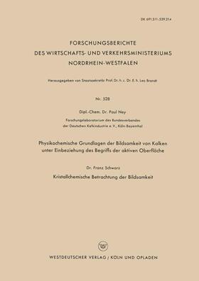 Physikochemische Grundlagen der Bildsamkeit von Kalken unter Einbeziehung des Begriffs der aktiven Oberfläche