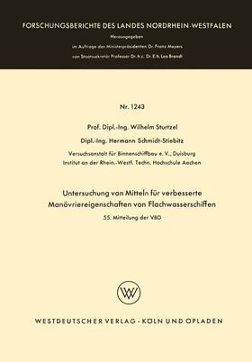 Untersuchung von Mitteln für verbesserte Manövriereigenschaften von Flachwasserschiffen