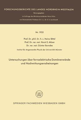 Untersuchungen über ferroelektrische Domänenwände und Nachwirkungserscheinungen