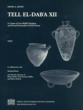Denkschriften der Gesamtakademie / Tell el-Dab'a XII.