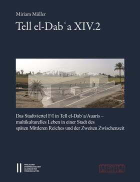 Tell el-Dab'a XIV.2