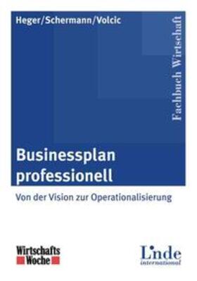 Businessplan professionell