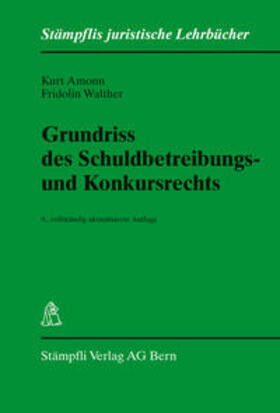 Grundriss des Schuldbetreibungs- und Konkursrechts