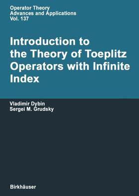 Introduction to the Theory of Toeplitz Operators with Infinite Index
