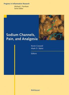 Sodium Channels, Pain, and Analgesia