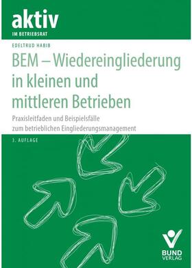 BEM - Wiedereingliederung in kleinen und mittleren Betrieben