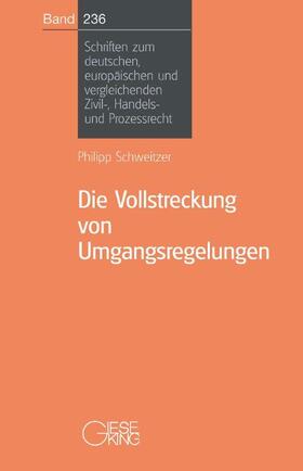 Die Vollstreckung von Umgangsregelungen