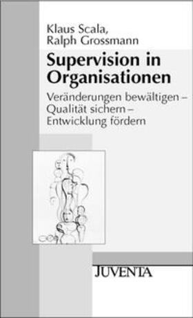 Supervision in Organisationen