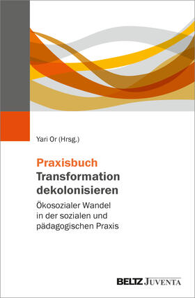 Praxisbuch Transformation dekolonisieren