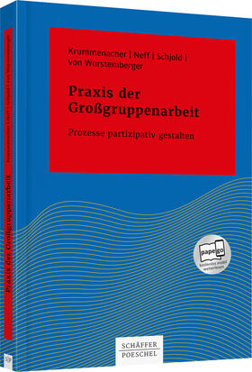 Krummenacher, P: Praxis der Großgruppenarbeit