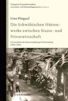 Die Schwäbischen Hüttenwerke zwischen Staats- und Privatwirtschaft