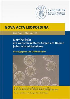 Der Ovidukt – ein wenig beachtetes Organ am Beginn jedes Wirbeltierlebens