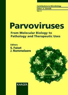 Parvoviruses