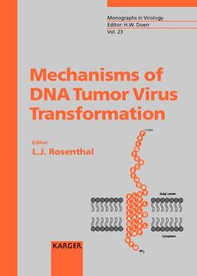 Mechanisms of DNA Tumor Virus Transformation