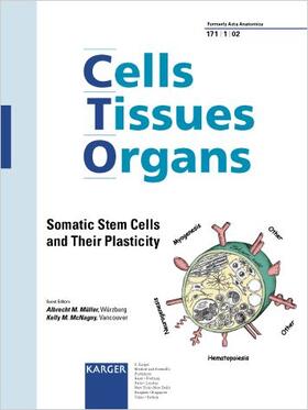 Somatic Stem Cells and Their Plasticity