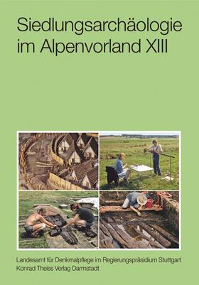 Siedlungsarchäologie im Alpenvorland XIII