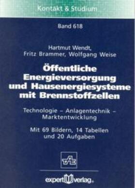 Öffentliche Energieversorgung und Hausenergiesysteme mit Brennstoffzellen