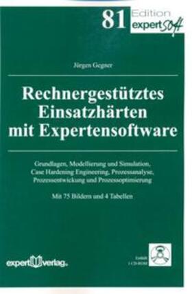 Gegner, J: Rechnergestütztes Einsatzhärten mit Expertensoft.