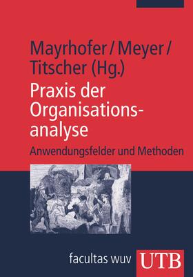 Praxis der Organisationsanalyse