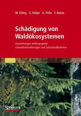 Schädigung von Waldökosystemen