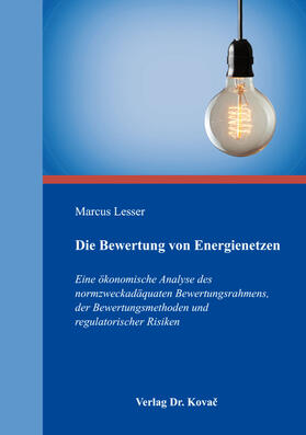 Die Bewertung von Energienetzen