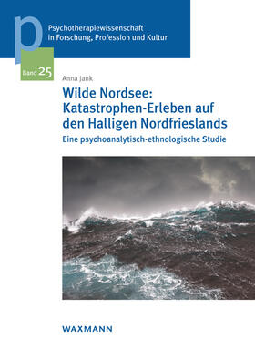 Jank, A: Wilde Nordsee: Katastrophen-Erleben auf den Hallige