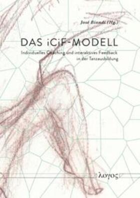Das iCiF Modell