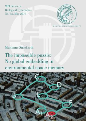 The impossible puzzle: No global embedding in environmental space memory
