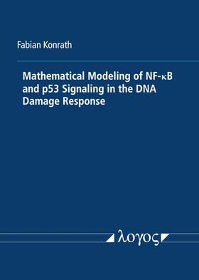 Mathematical Modeling of NF-ÎºB and p53 Signaling in the DNA Damage Response
