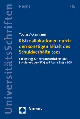 Risikoallokationen durch den sonstigen Inhalt des Schuldverhältnisses