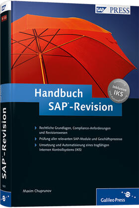 Handbuch SAP-Revision