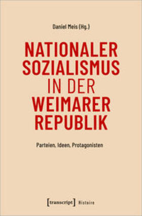 Nationaler Sozialismus in der Weimarer Republik