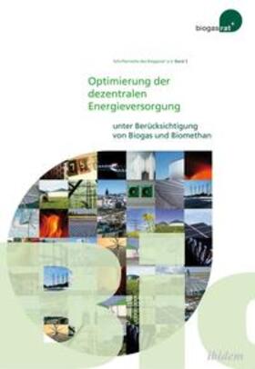 Optimierung der dezentralen Energieversorgung unter Berücksichtigung von Biogas und Biomethan