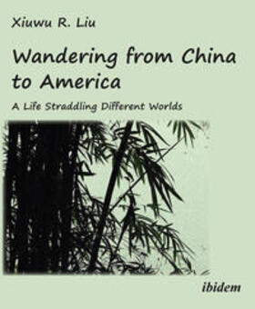 Wandering from China to America