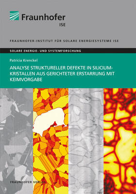 Analyse struktureller Defekte in Siliciumkristallen aus gerichteter Erstarrung mit Keimvorgabe.