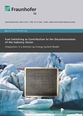 Fuel Switching as Contribution to the Decarbonisation of the Industry Sector.